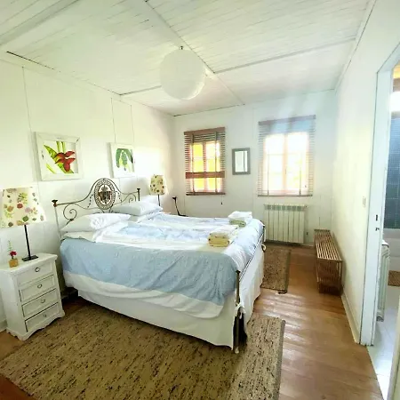 Villa Spacious In With Private Pool Ventosa (Braga)